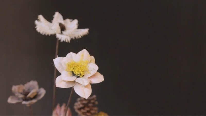 婉桃花舍插畫(huà)作品宣傳視頻